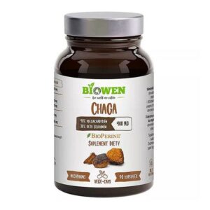 Ekstrakt z Grybów Chaga błyskoporek podkorowy 400mg 90 kapsułek