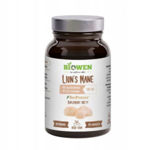 Ekstrakt z Lion’s Mane soplówka jeżowata 400mg 90 kapsułek